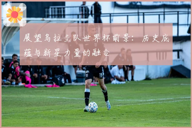 展望乌拉圭队世界杯前景:历史底蕴与新星力量的融合
