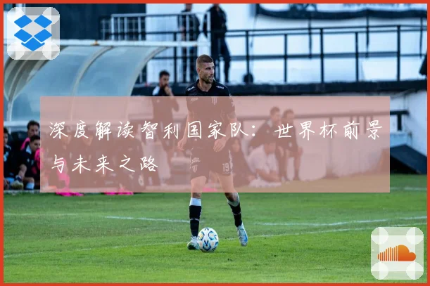 深度解读智利国家队:世界杯前景与未来之路