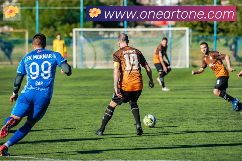 开云kaiyun网页版发展历程